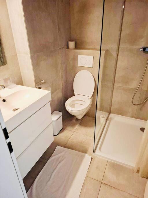Apartment Large One Bedroom In Center With Terrace & Parking Luxemburg